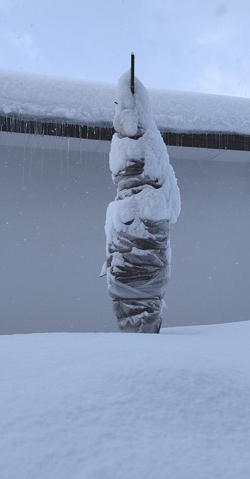 桃花一重サザンカに不織布を巻いて防寒対策をしたものに雪が積もっている風景。